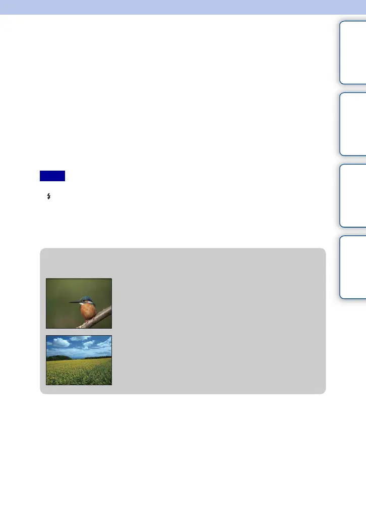Page #72 background image