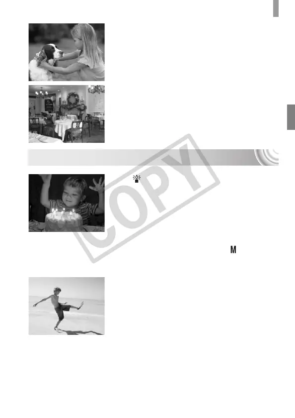 Page #55 background image