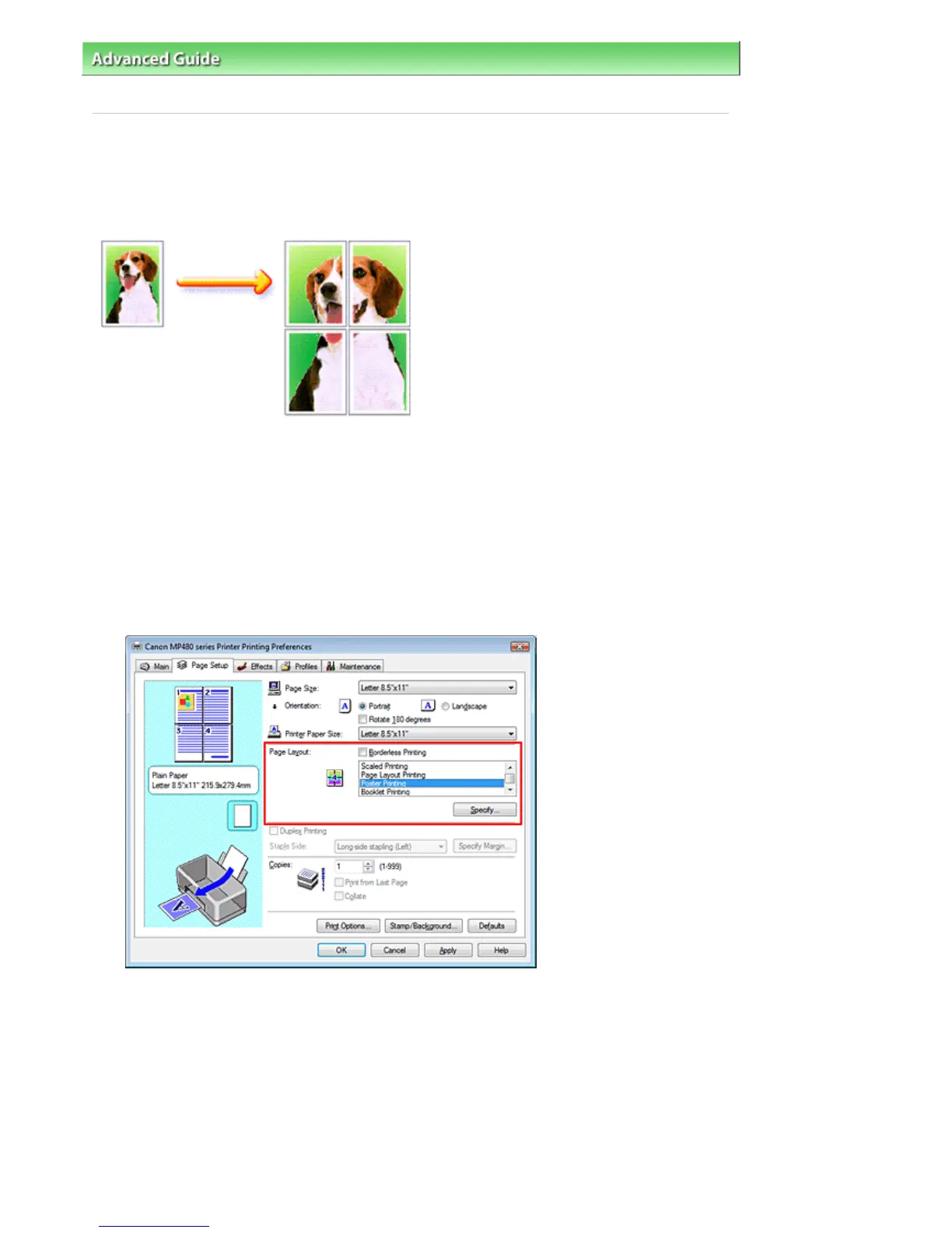 Page #226 background image