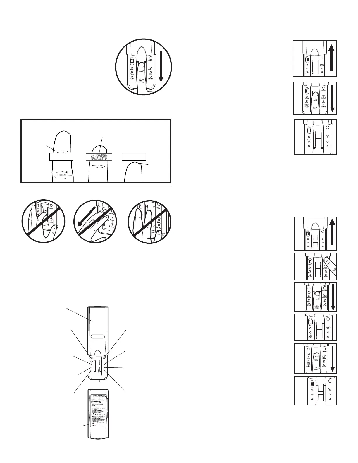 Page #2 background image