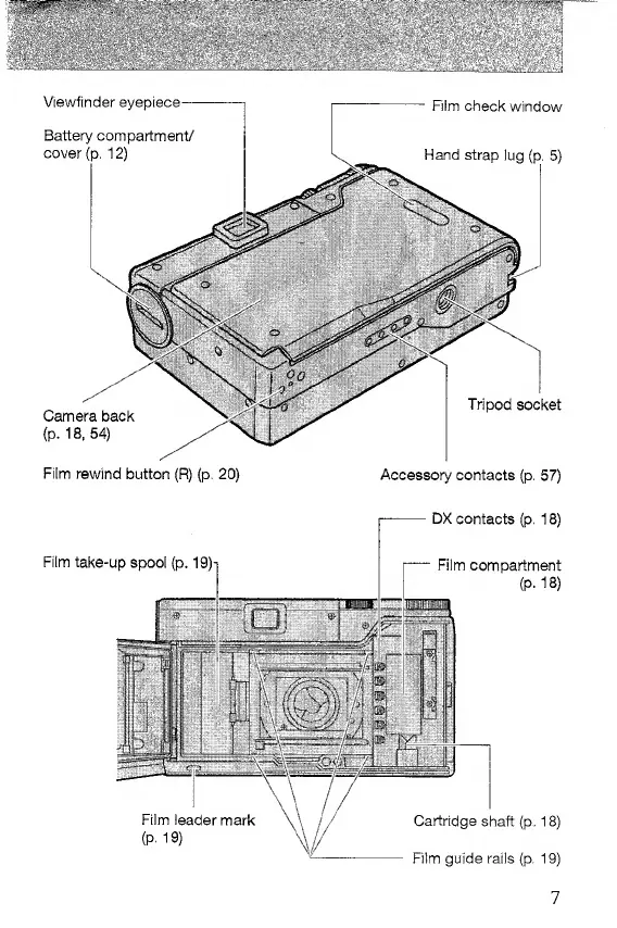 Page #3 background image