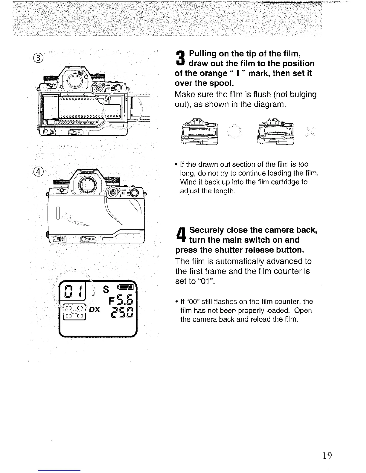 Page #19 background image