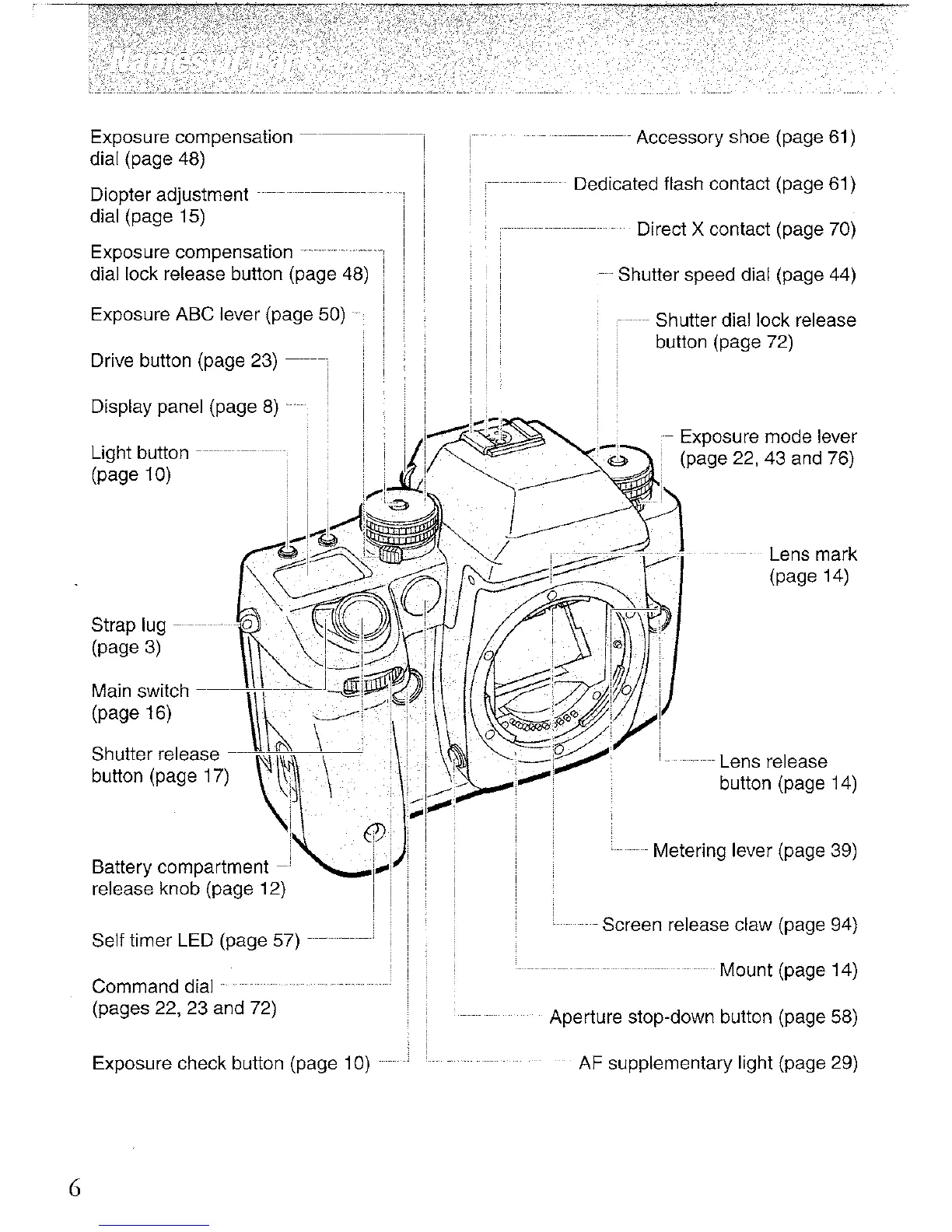 Page #6 background image