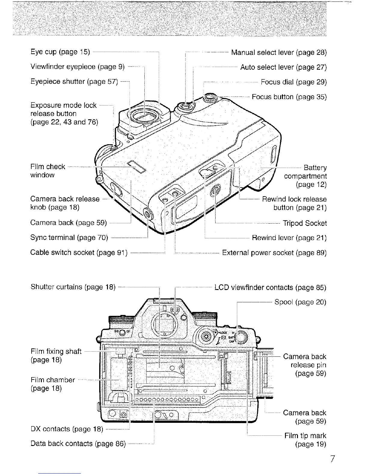 Page #7 background image
