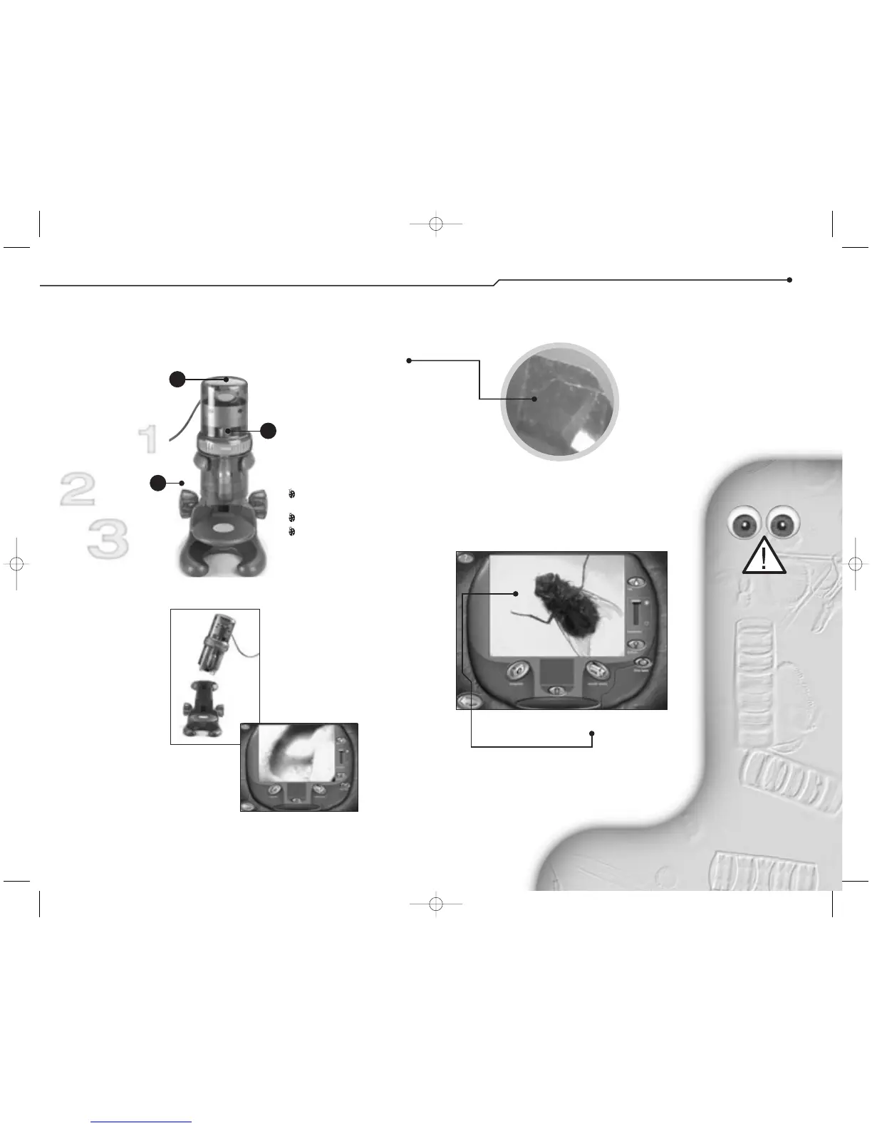 Page #3 background image