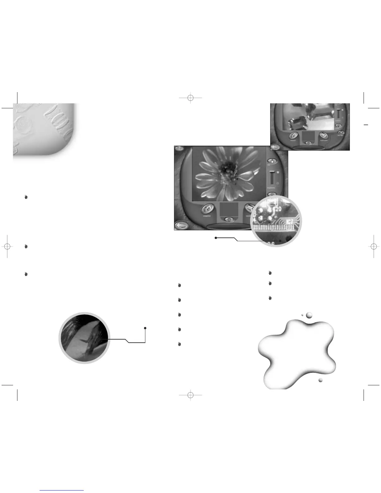 Page #6 background image