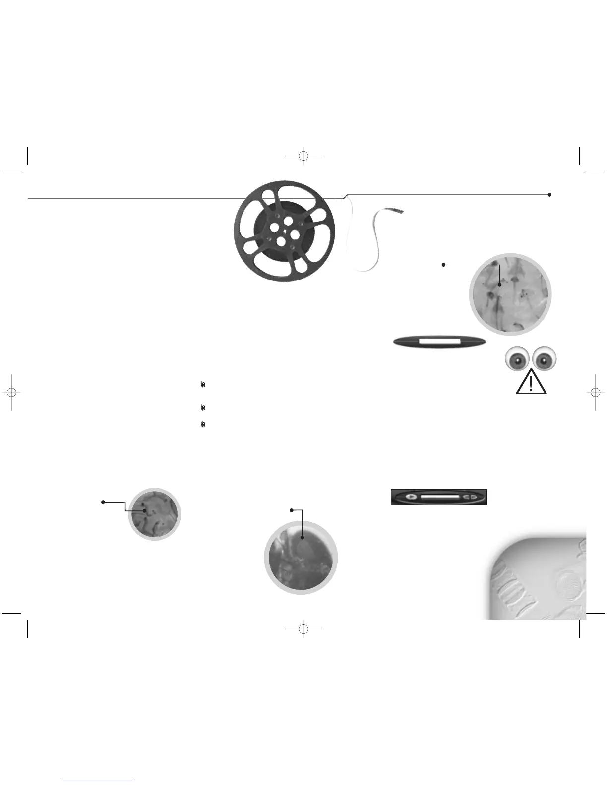 Page #7 background image