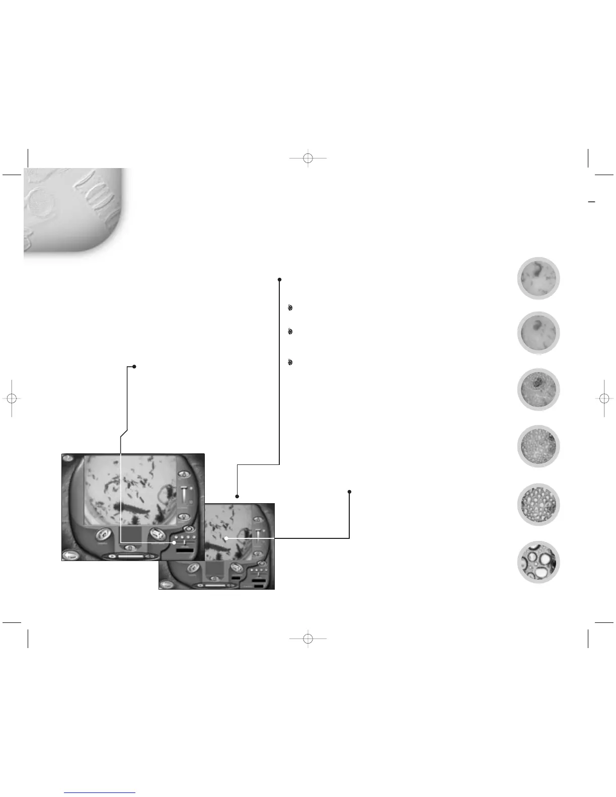 Page #8 background image