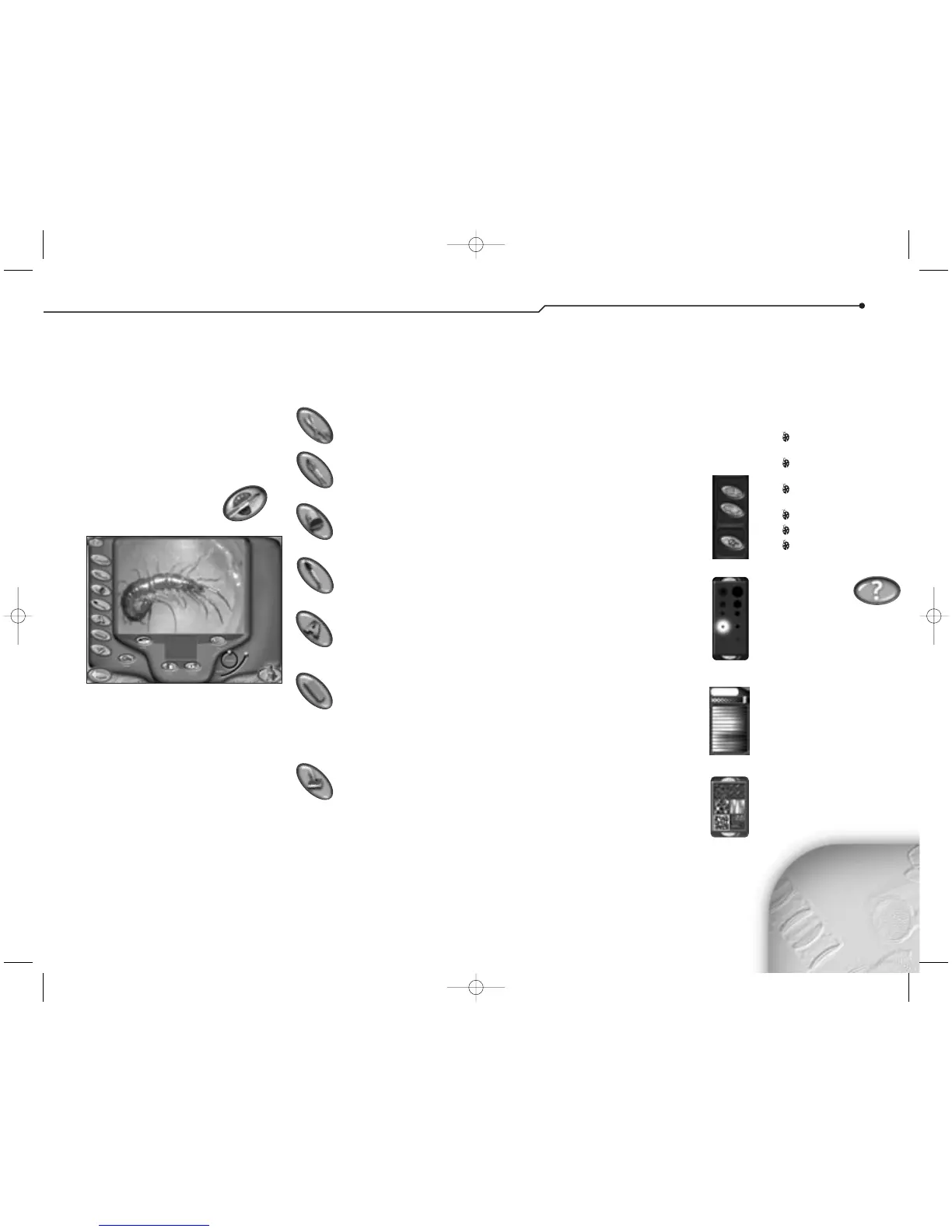 Page #11 background image