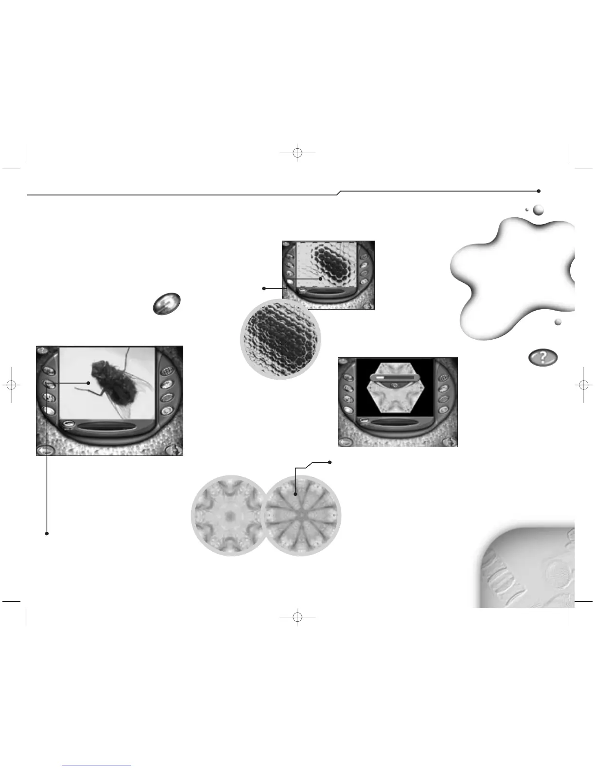 Page #13 background image