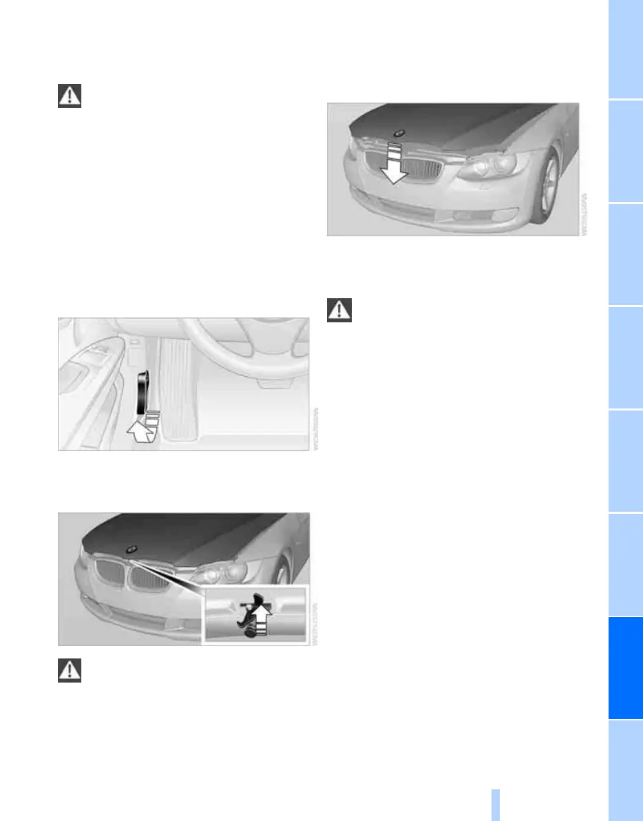Page #225 background image