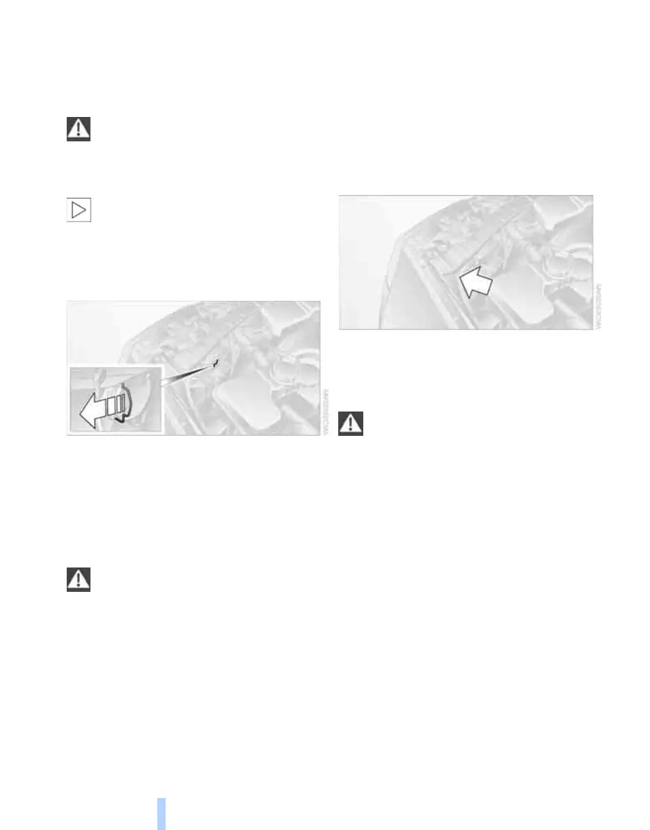 Page #116 background image