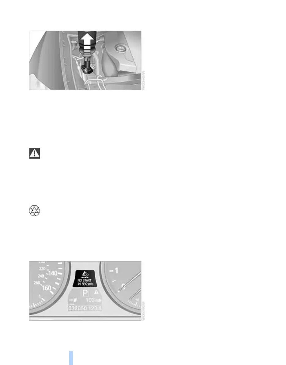 Page #250 background image