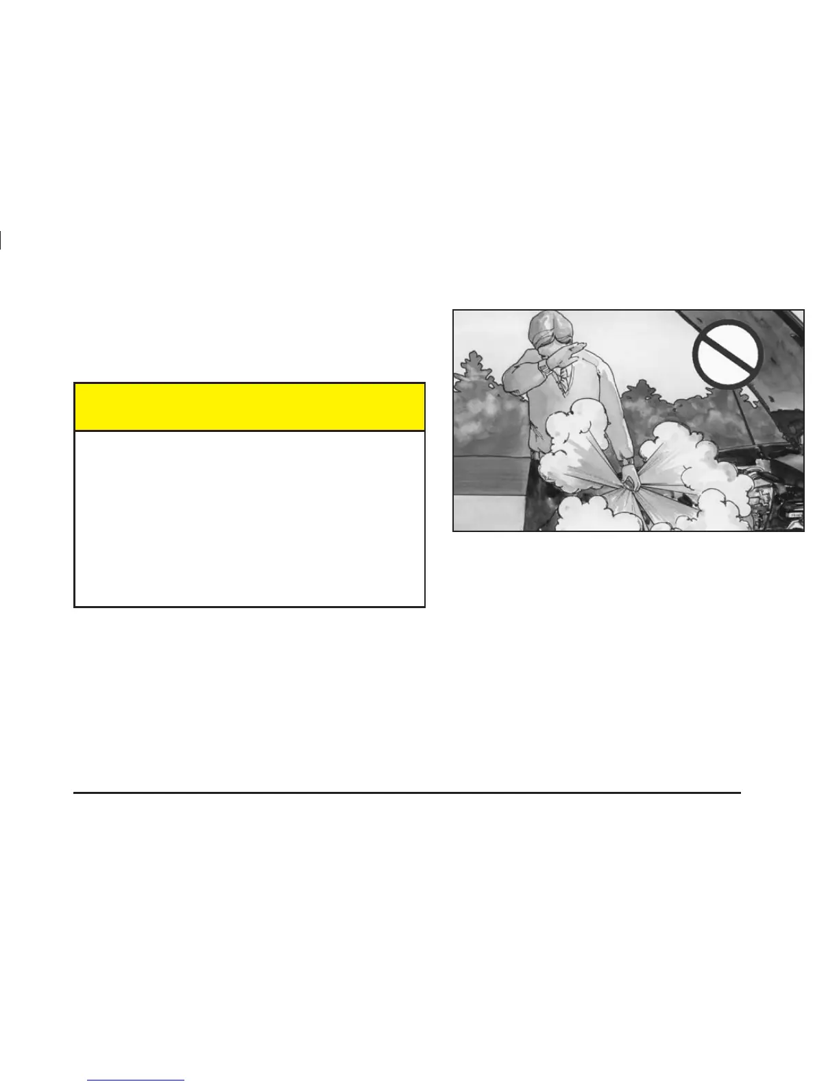 Page #243 background image