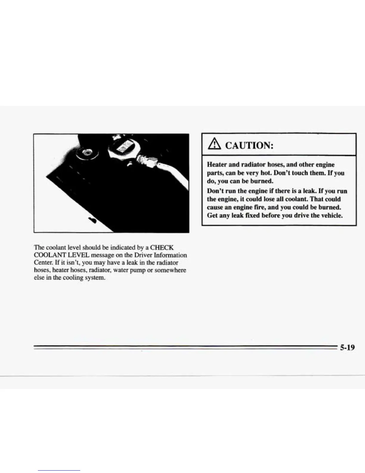 Page #242 background image