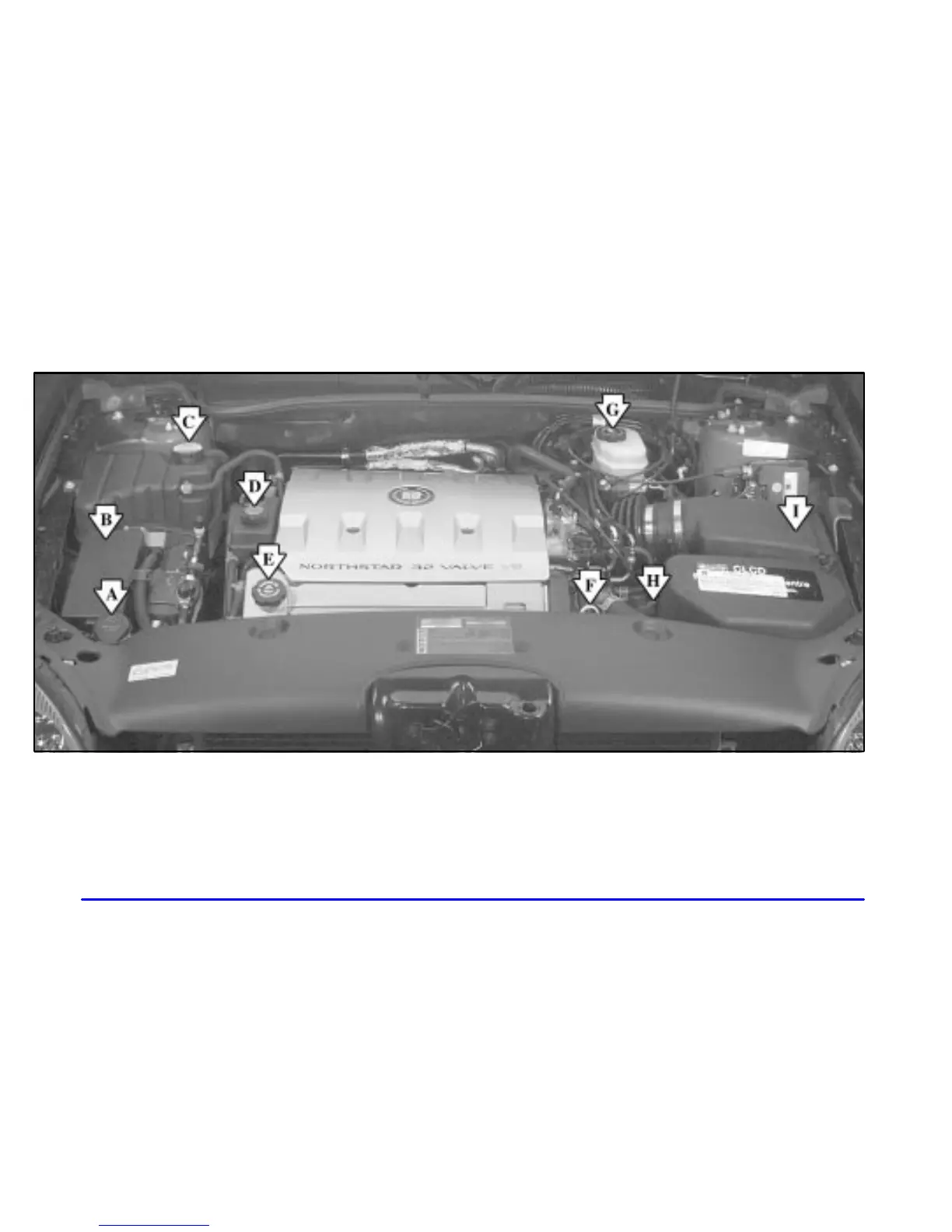Page #309 background image