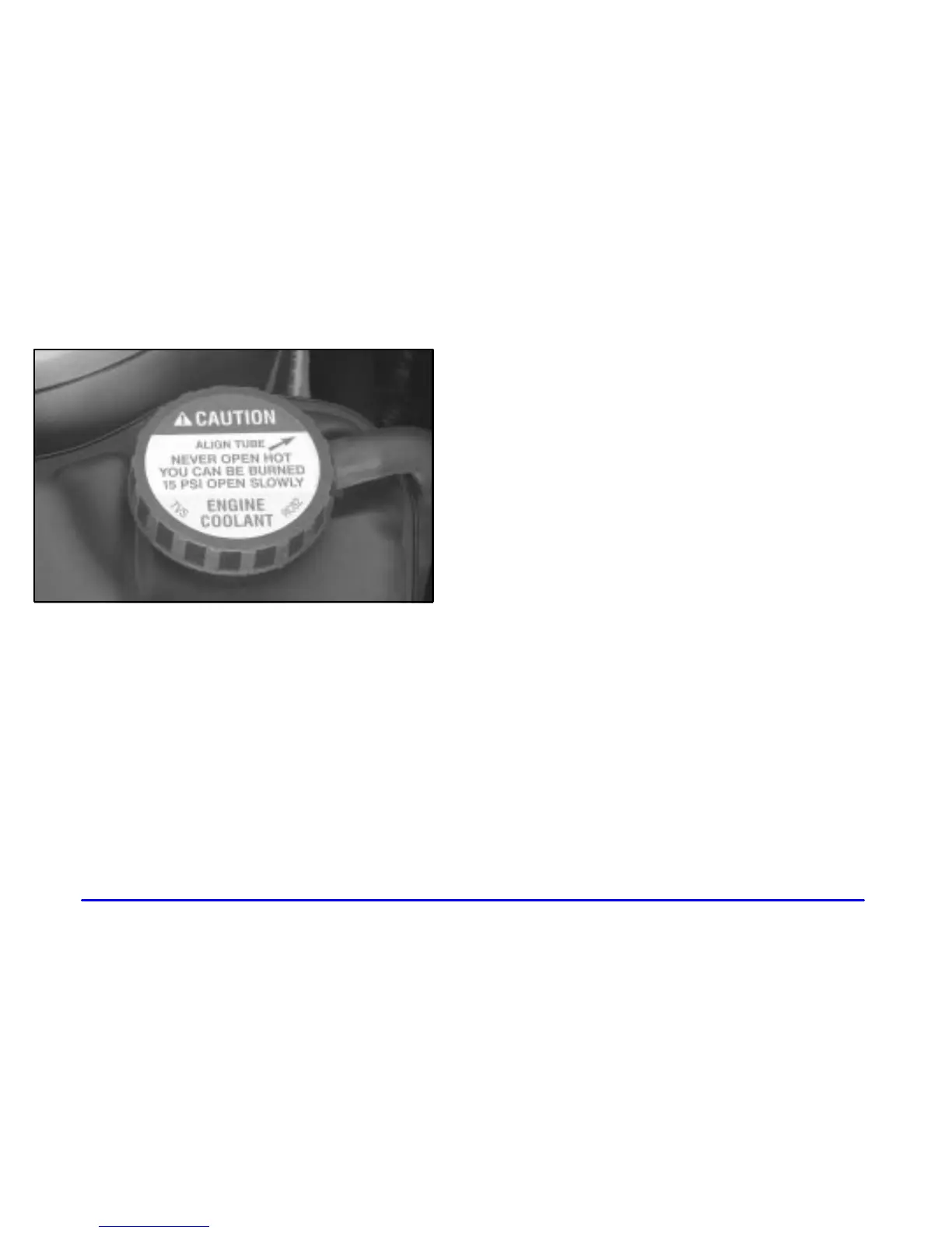 Page #295 background image