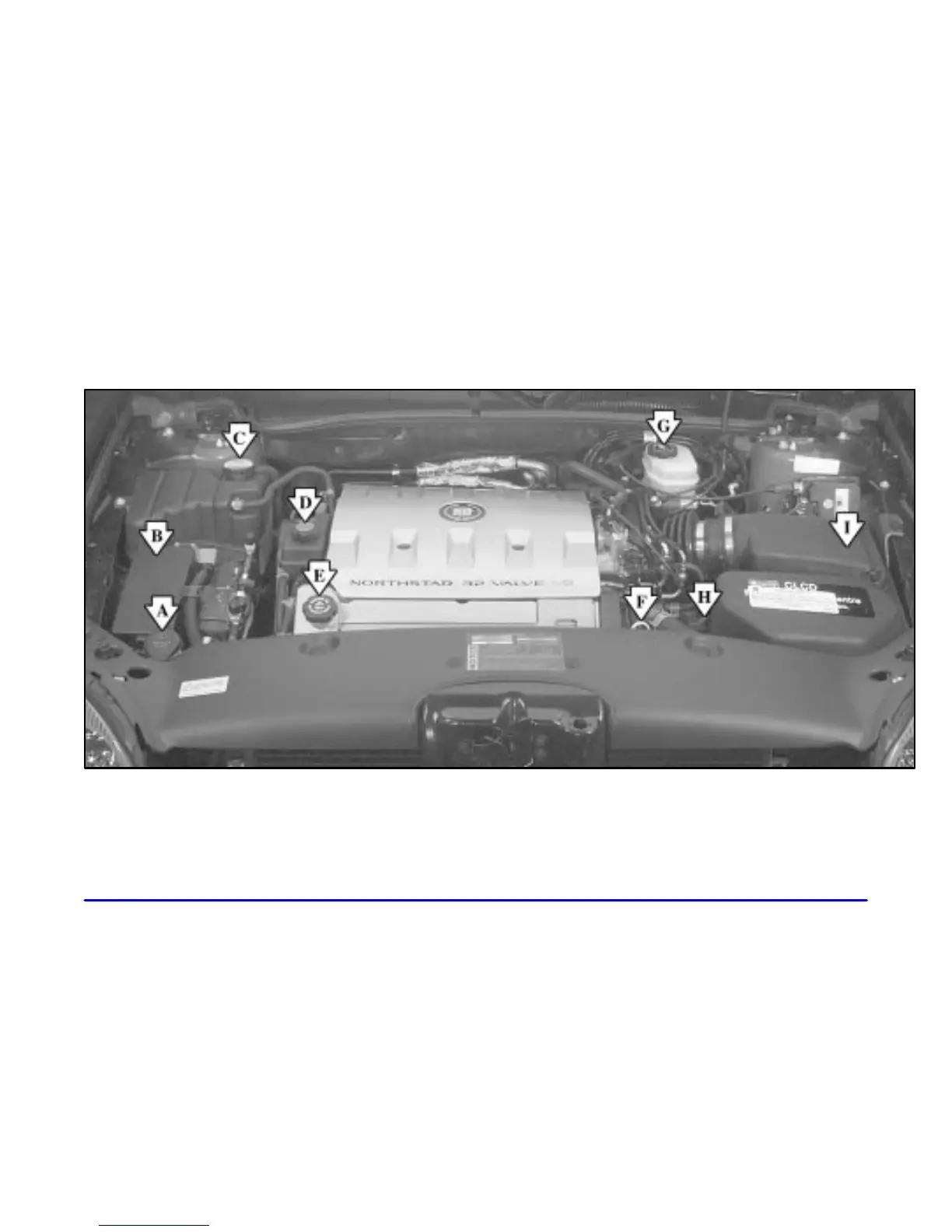 Page #321 background image
