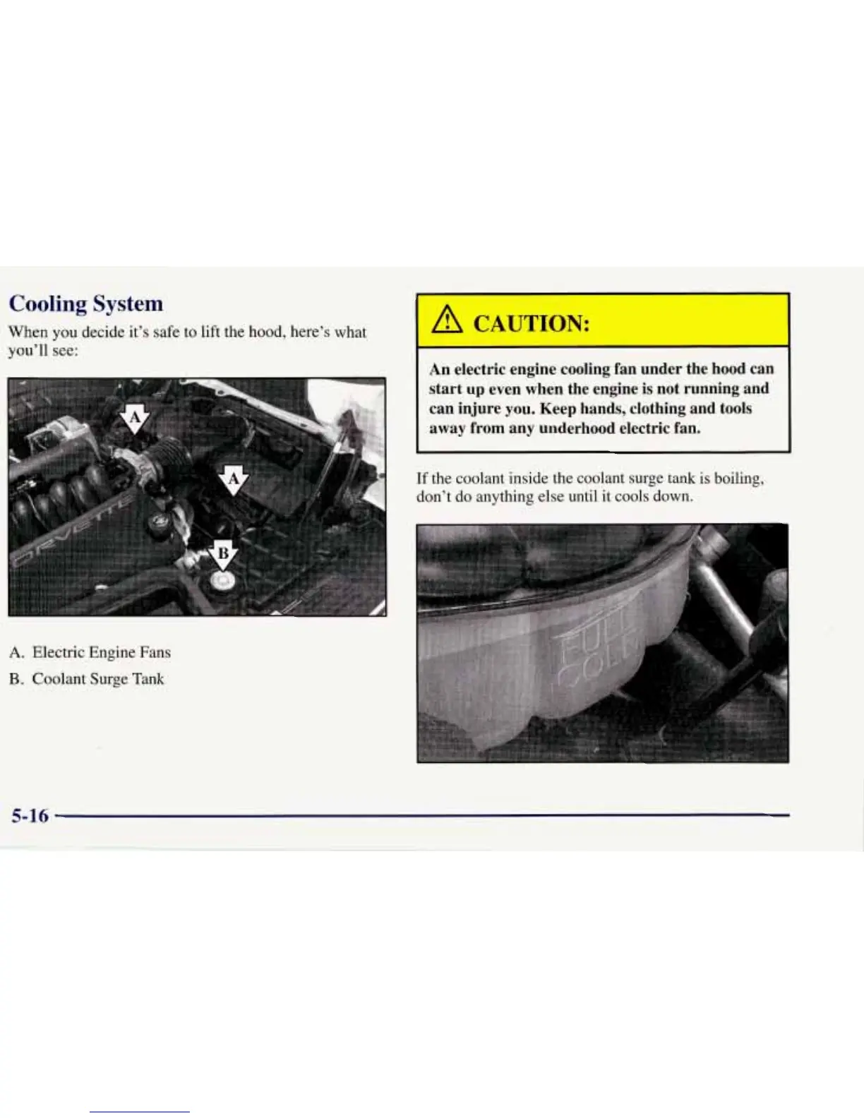 Page #237 background image