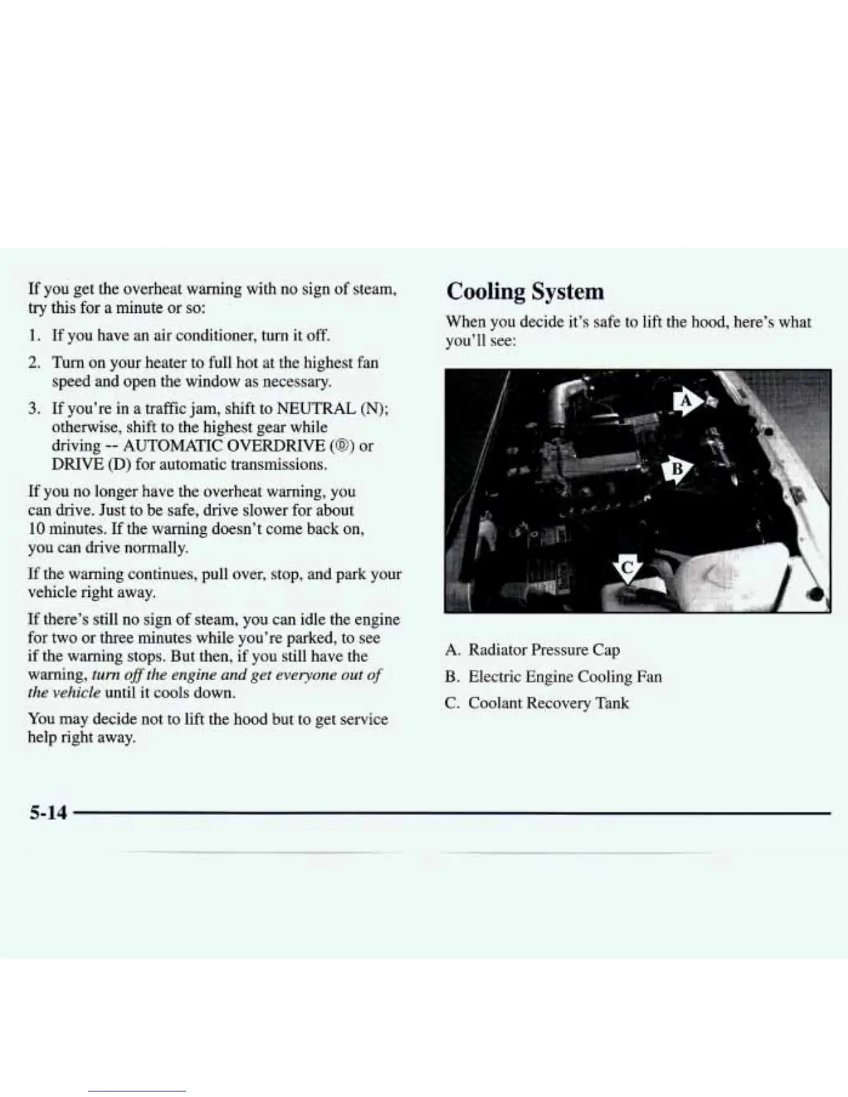 Page #215 background image