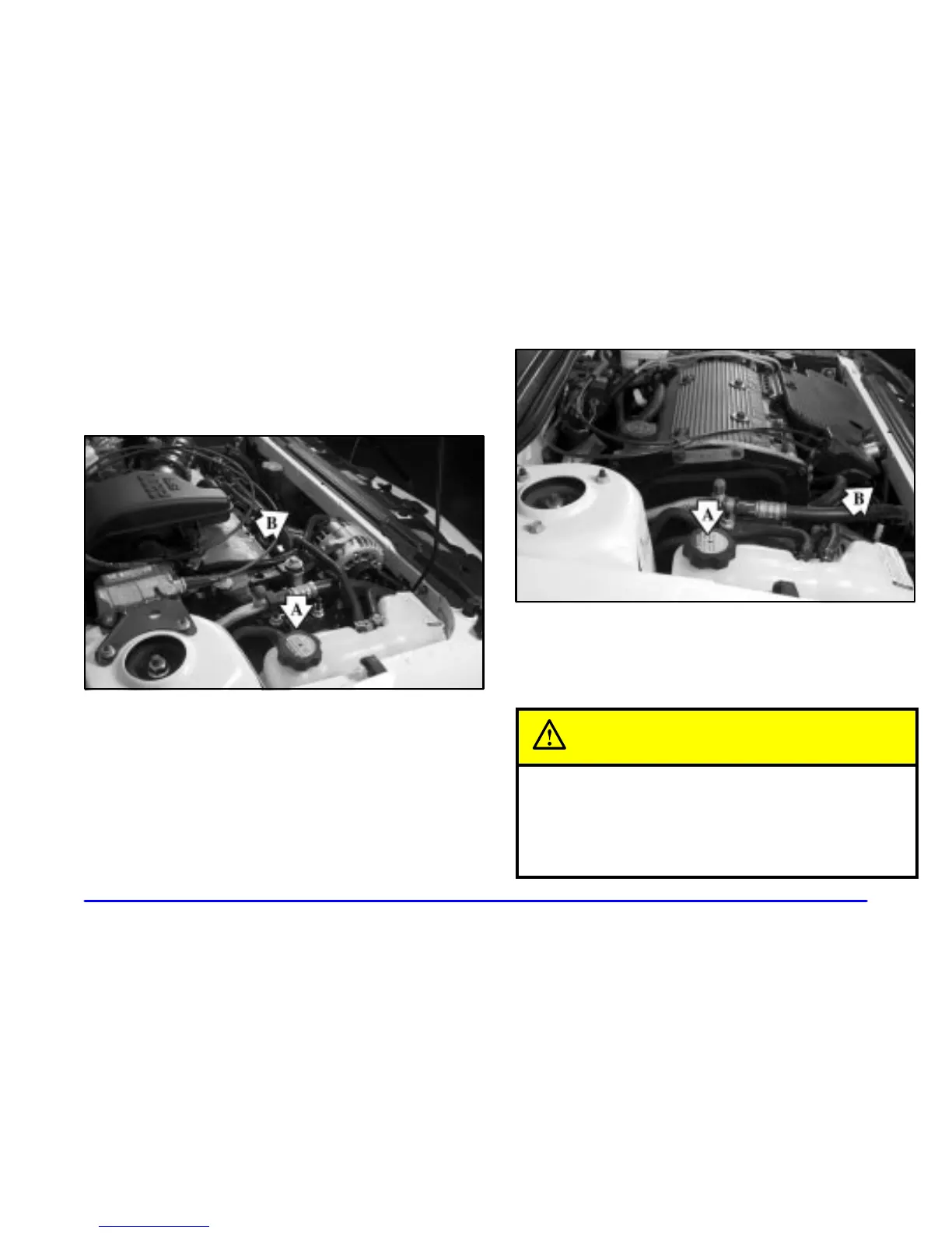 Page #226 background image