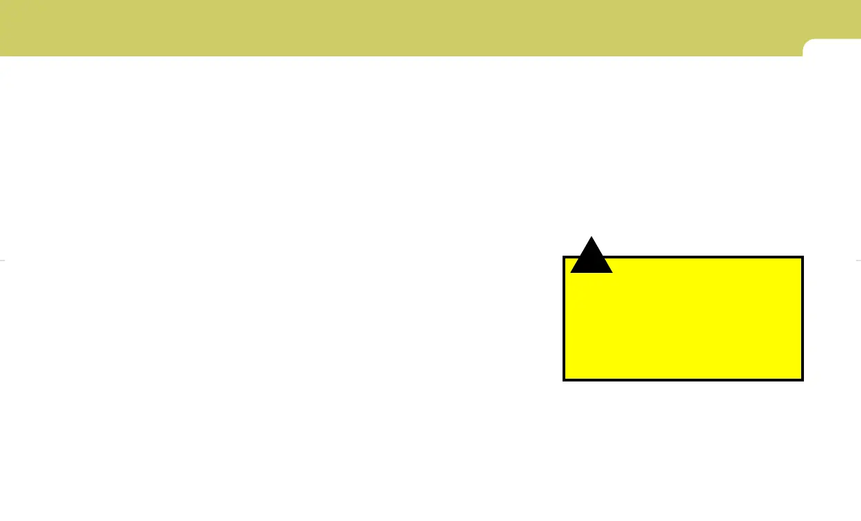 Page #242 background image