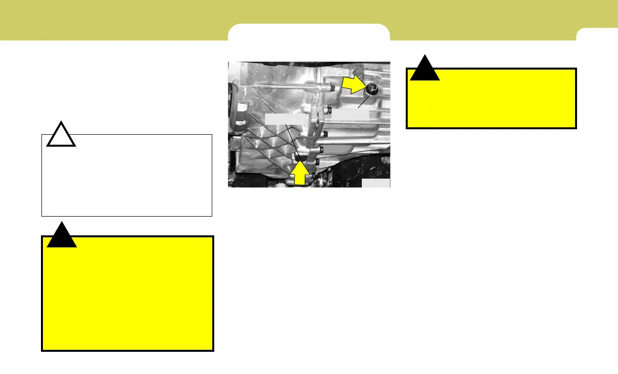 Page #215 background image