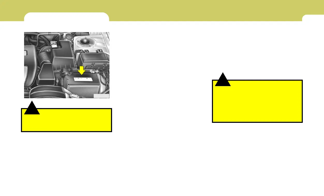 Page #225 background image
