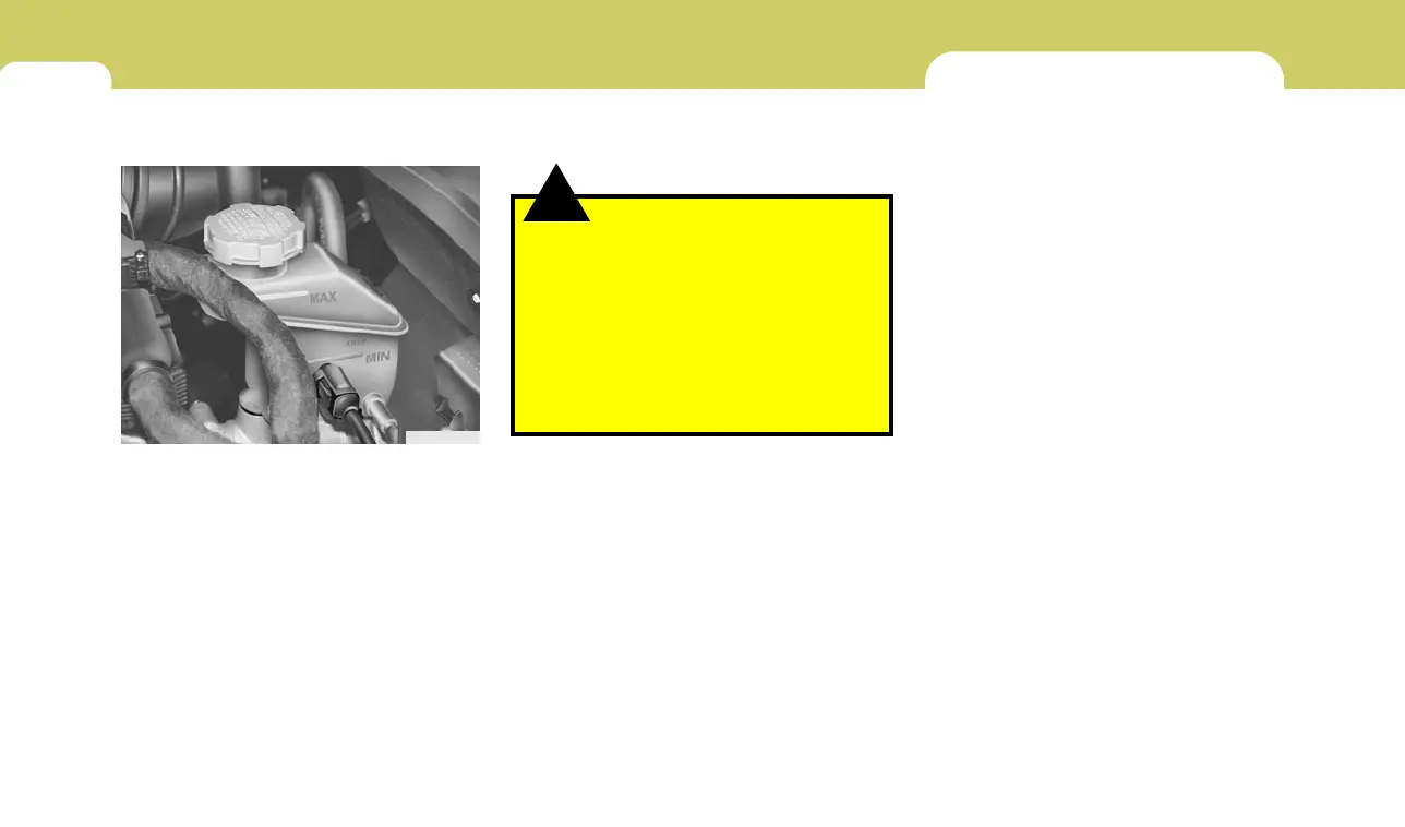 Page #229 background image