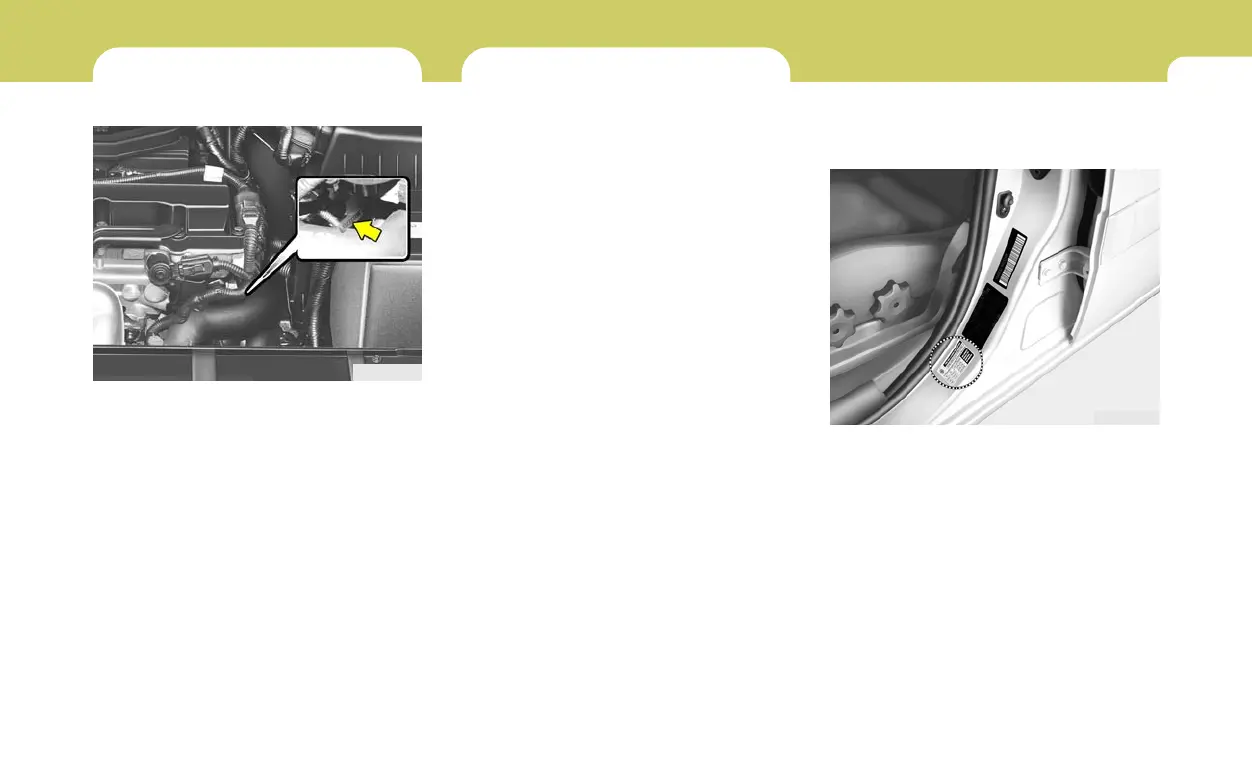 Page #256 background image