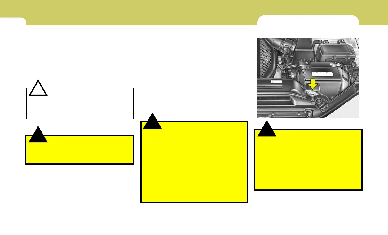 Page #244 background image