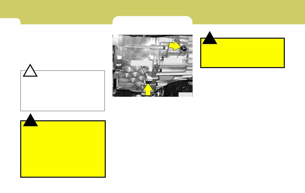 Page #225 background image