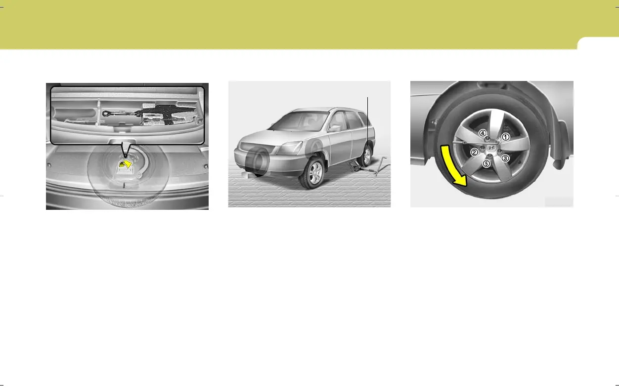 Page #261 background image