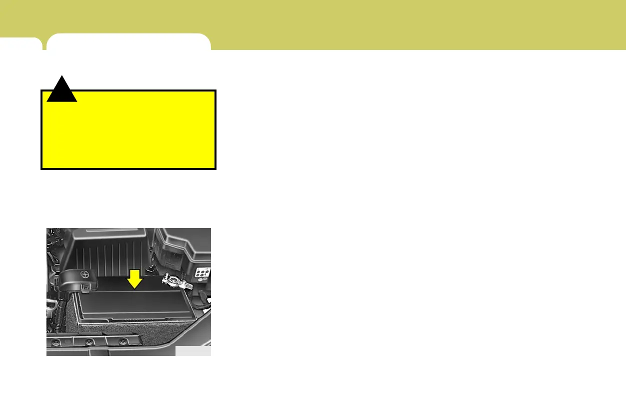 Page #250 background image