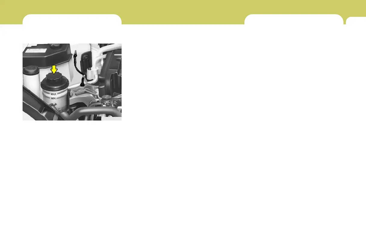 Page #226 background image
