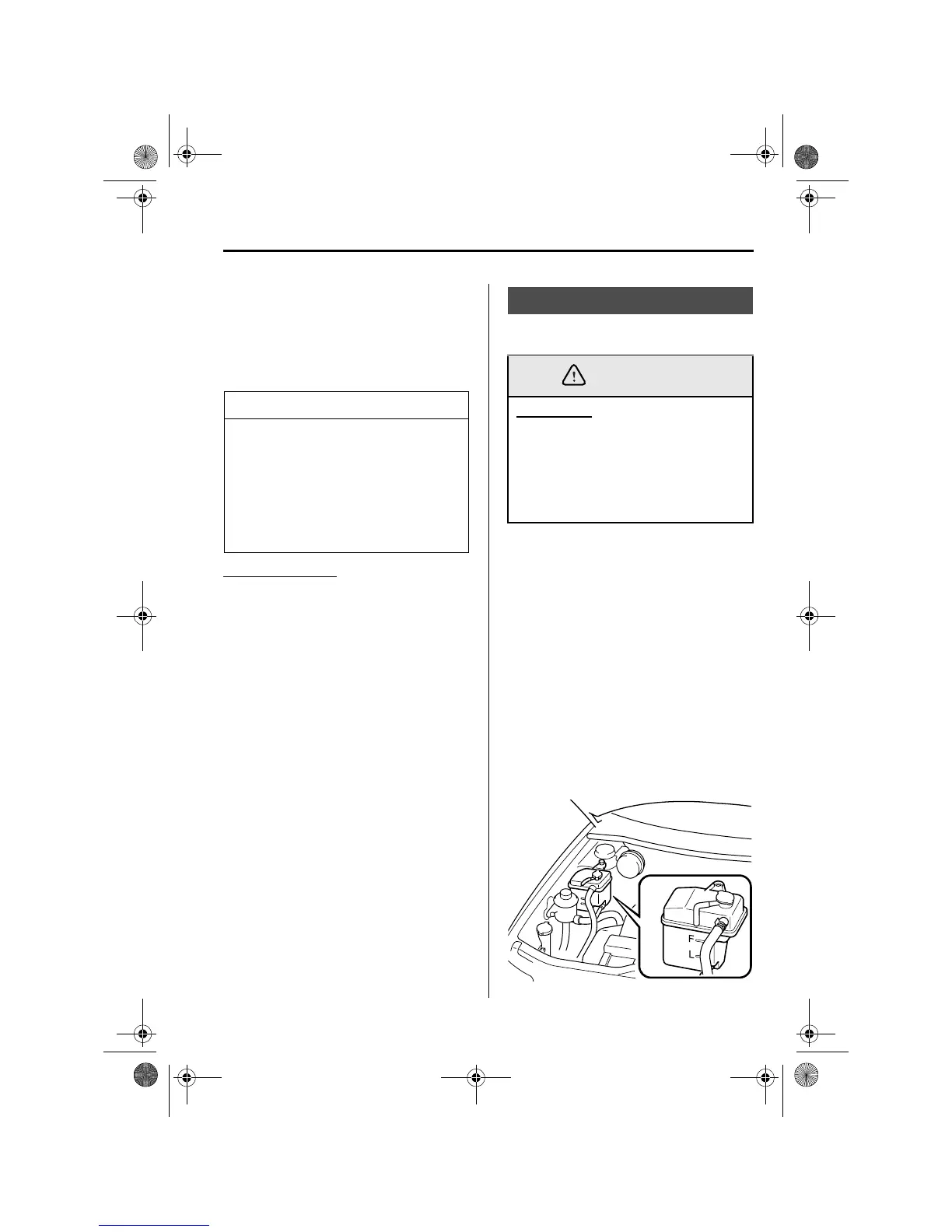 Page #243 background image