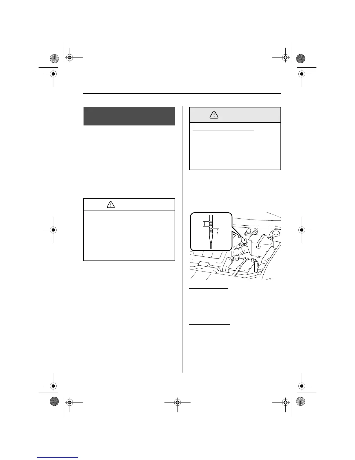 Page #247 background image