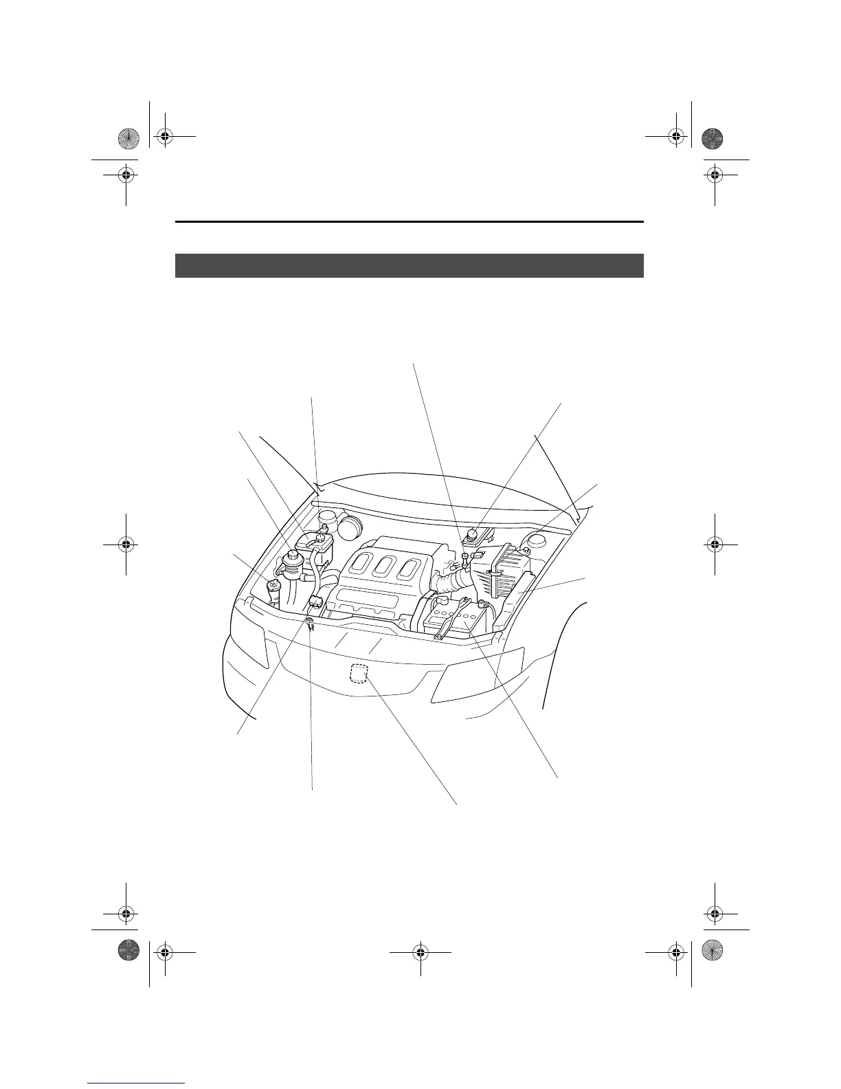 Page #243 background image