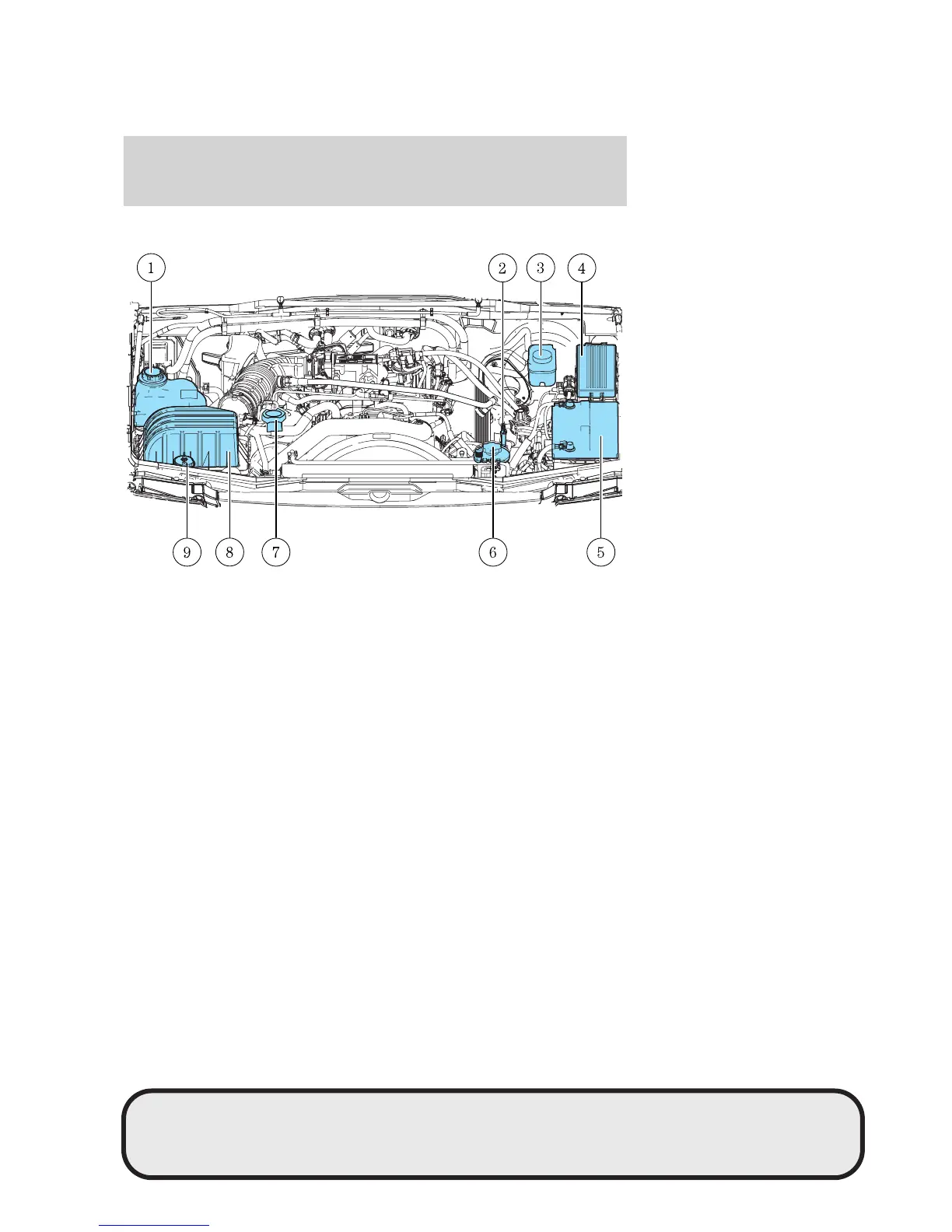 Page #218 background image