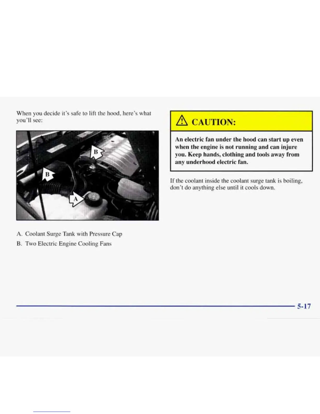 Page #233 background image