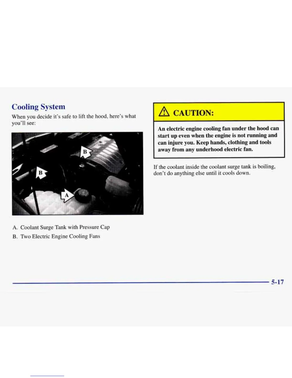 Page #233 background image