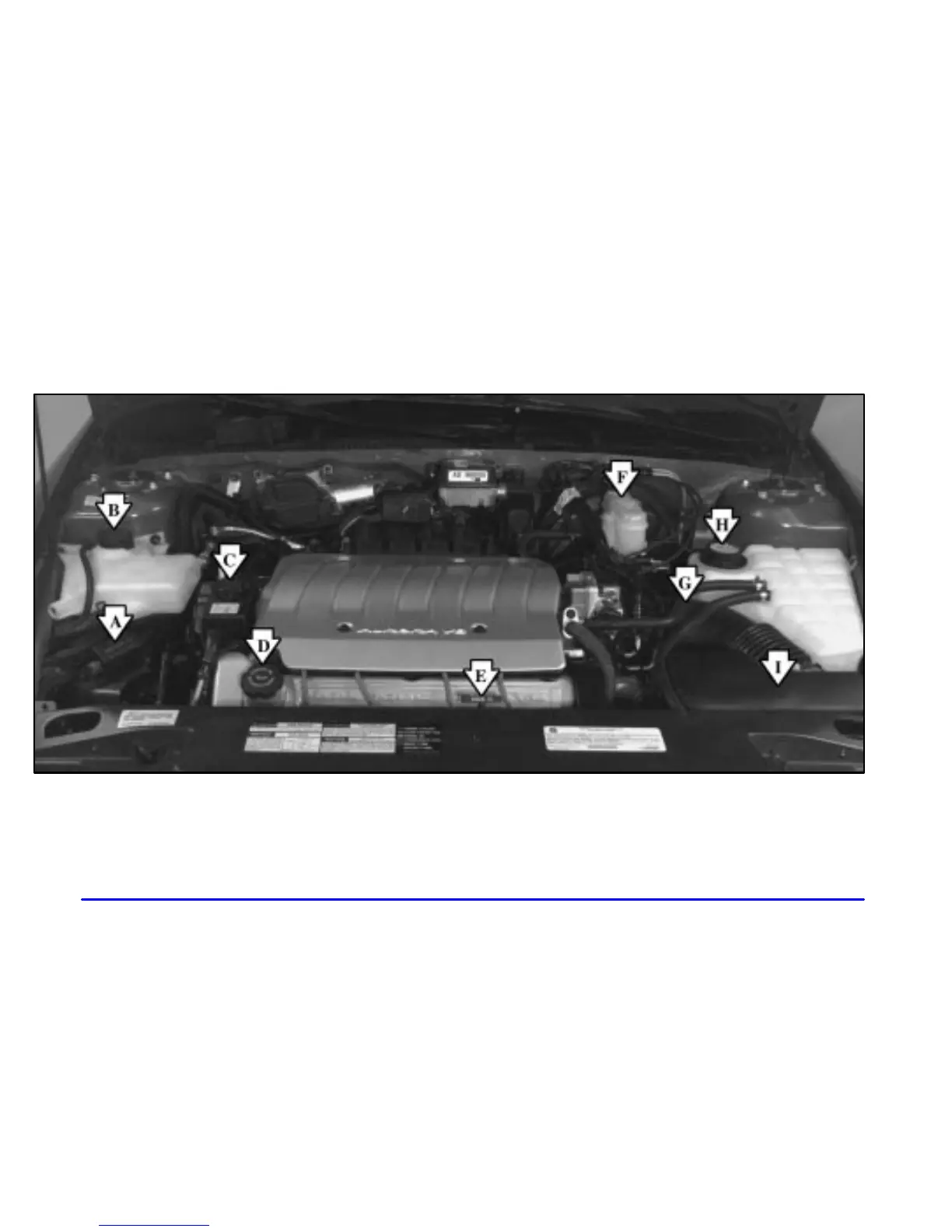 Page #248 background image