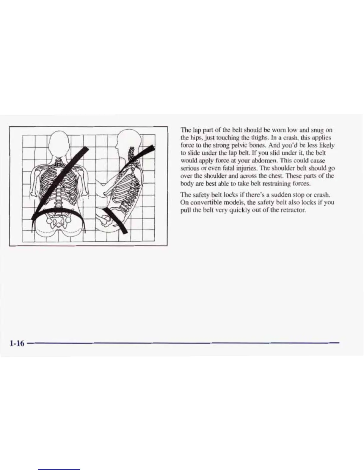 Page #23 background image