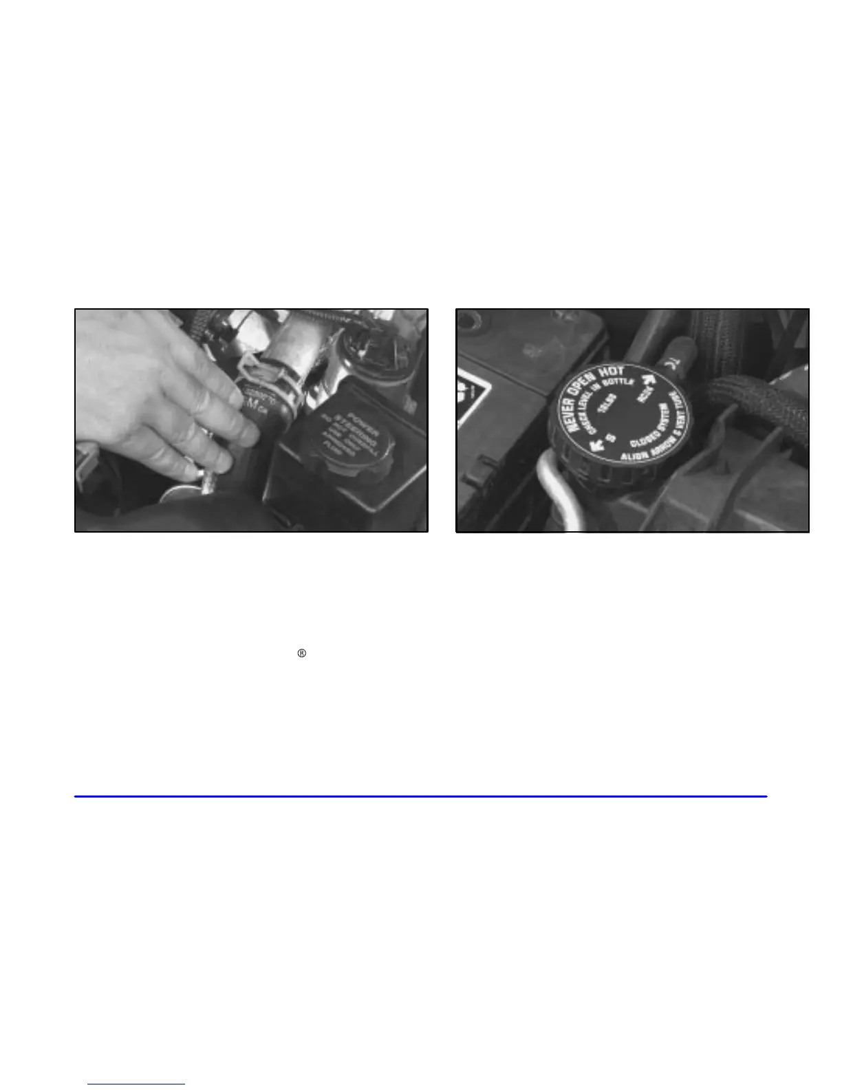 Page #233 background image