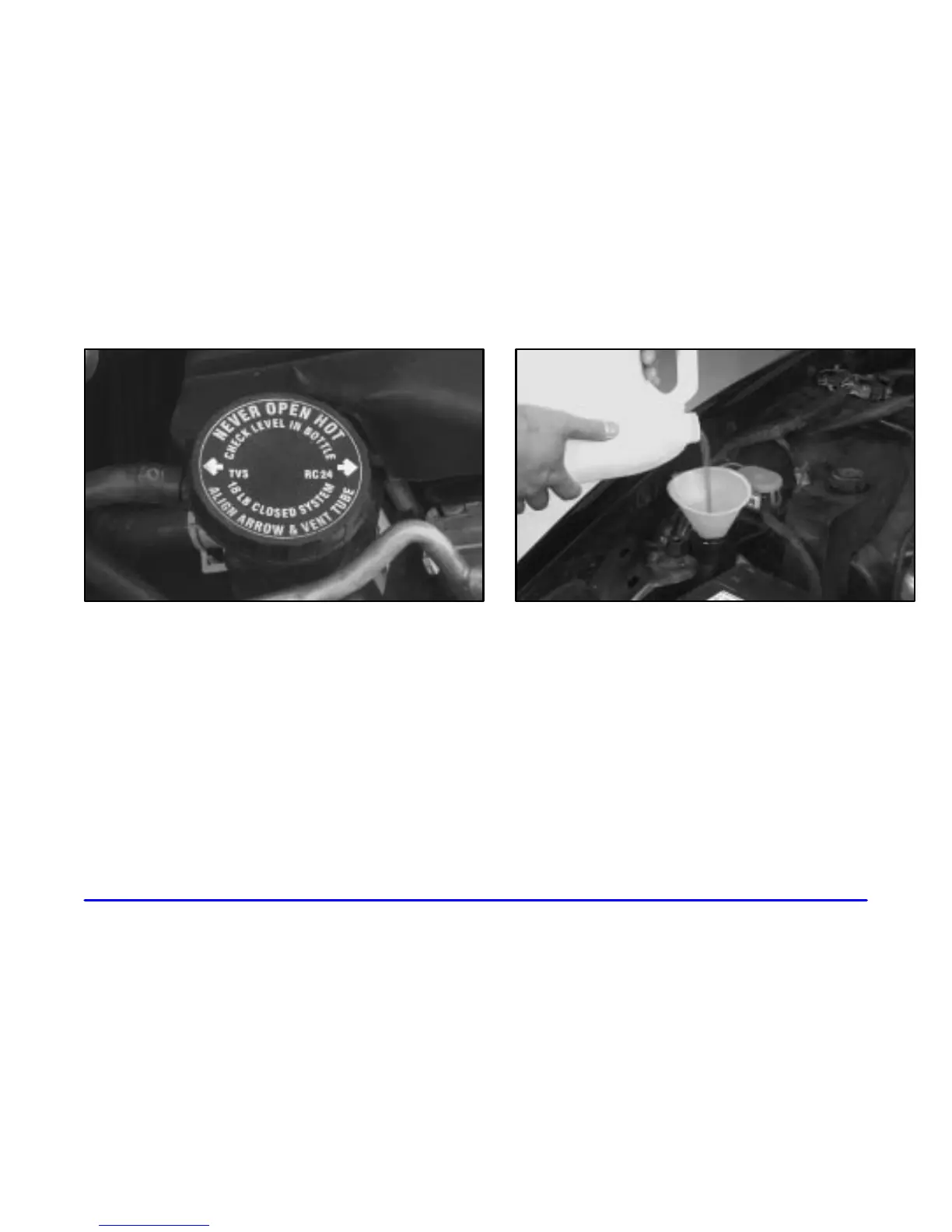 Page #233 background image