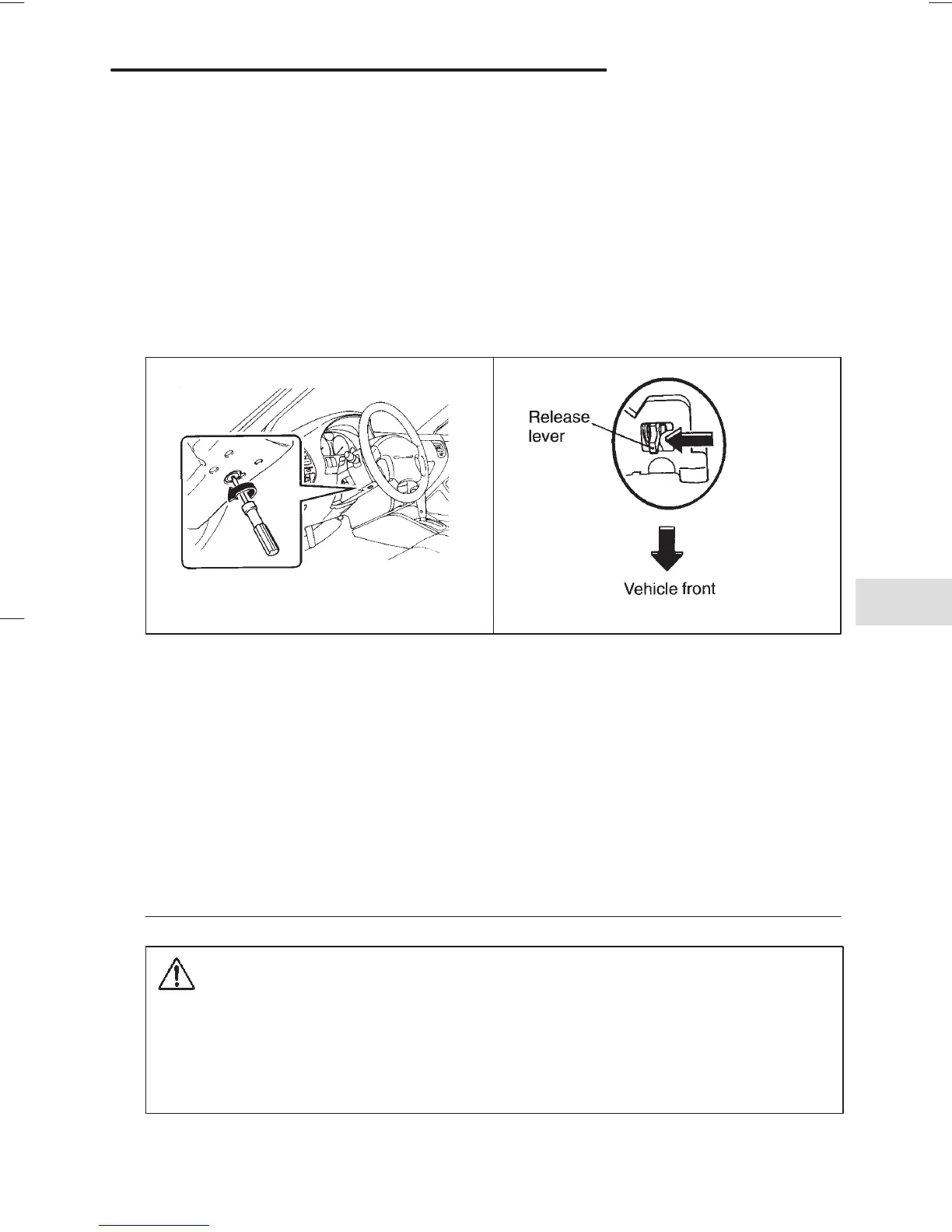 Page #244 background image