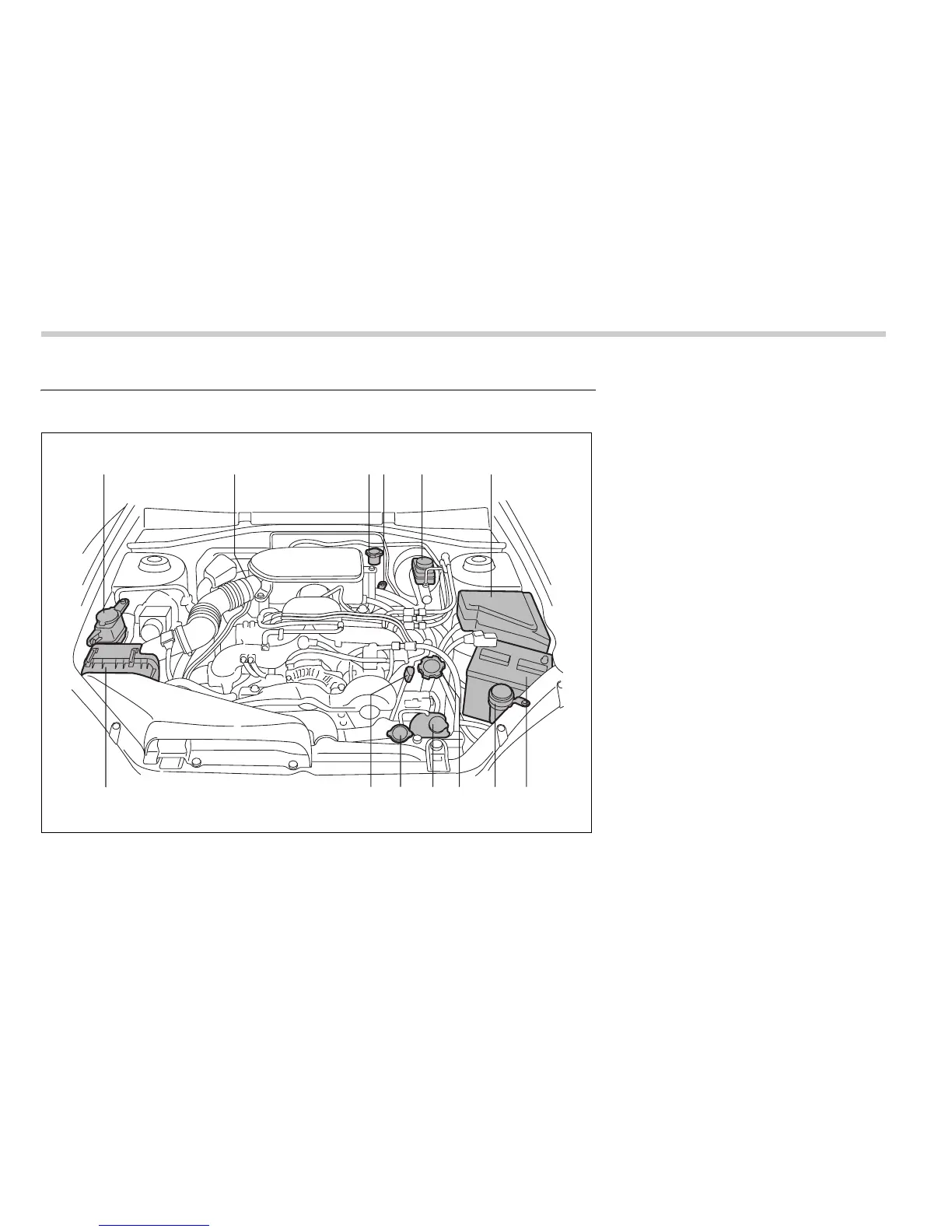 Page #339 background image