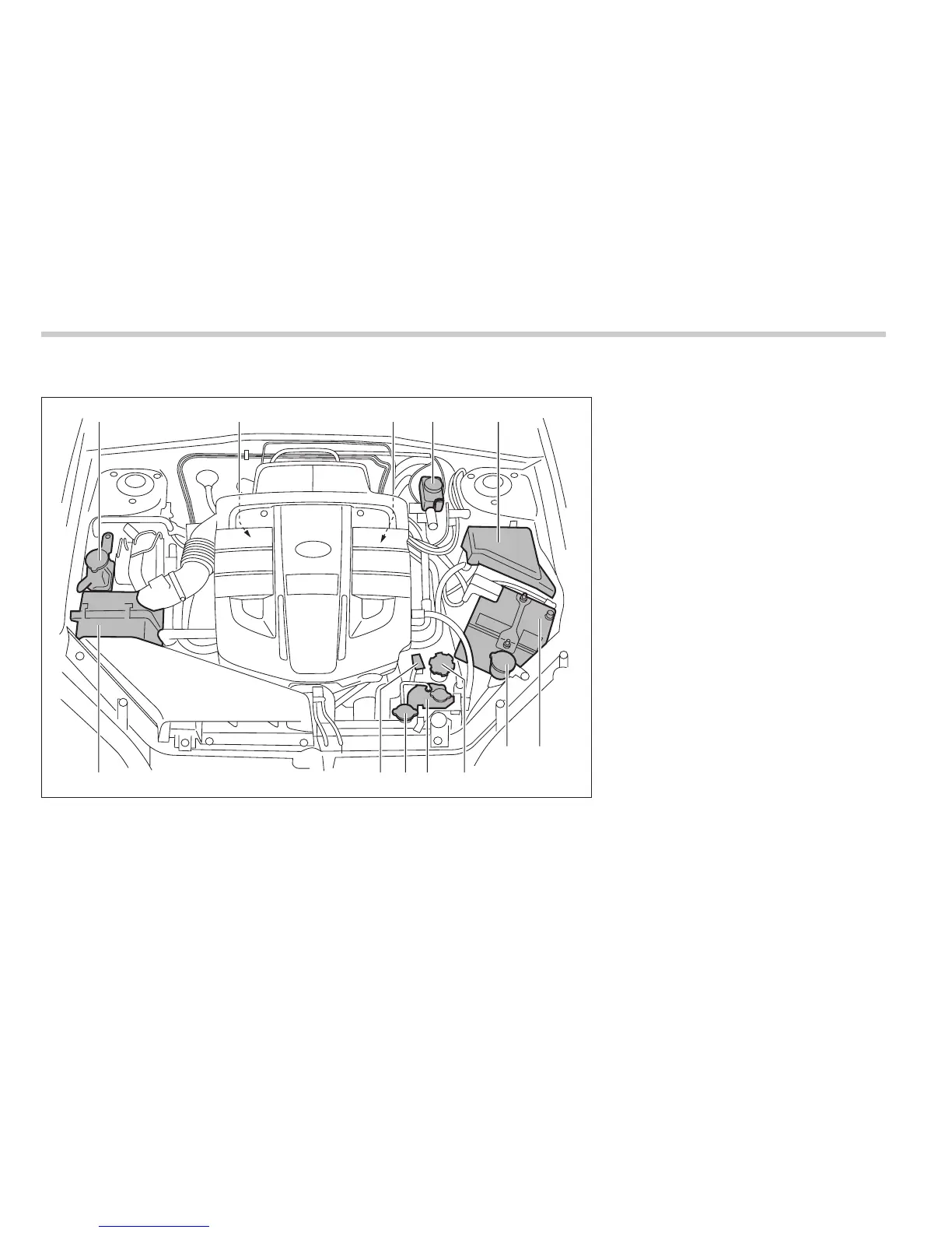 Page #341 background image