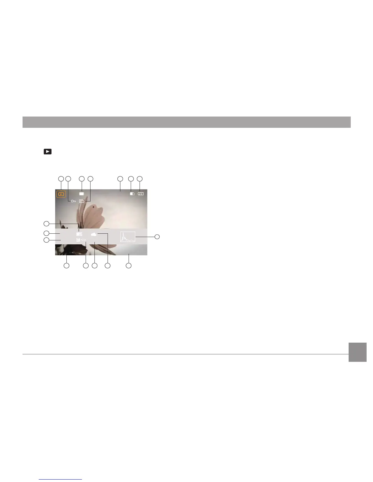 Page #33 background image
