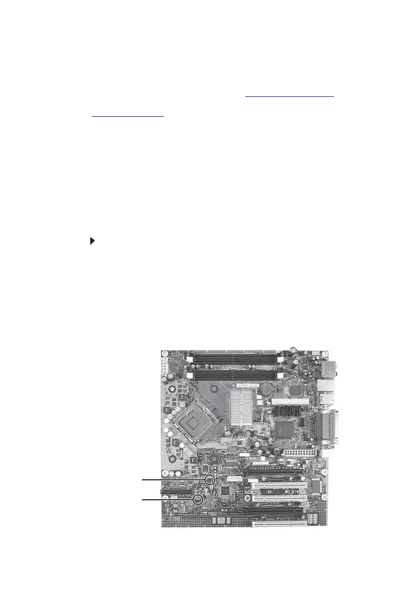 Page #46 background image